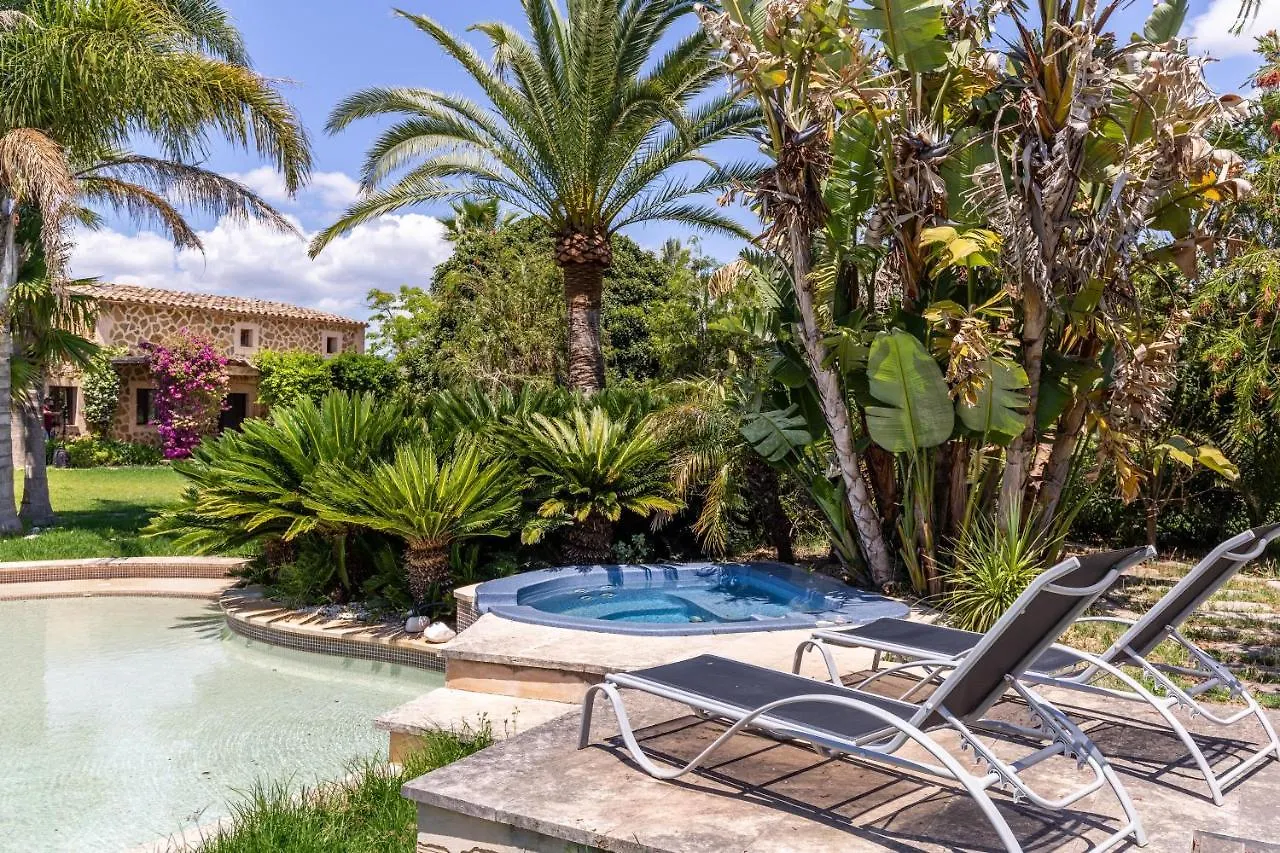 Holiday home Le Petit Paradis Binissalem